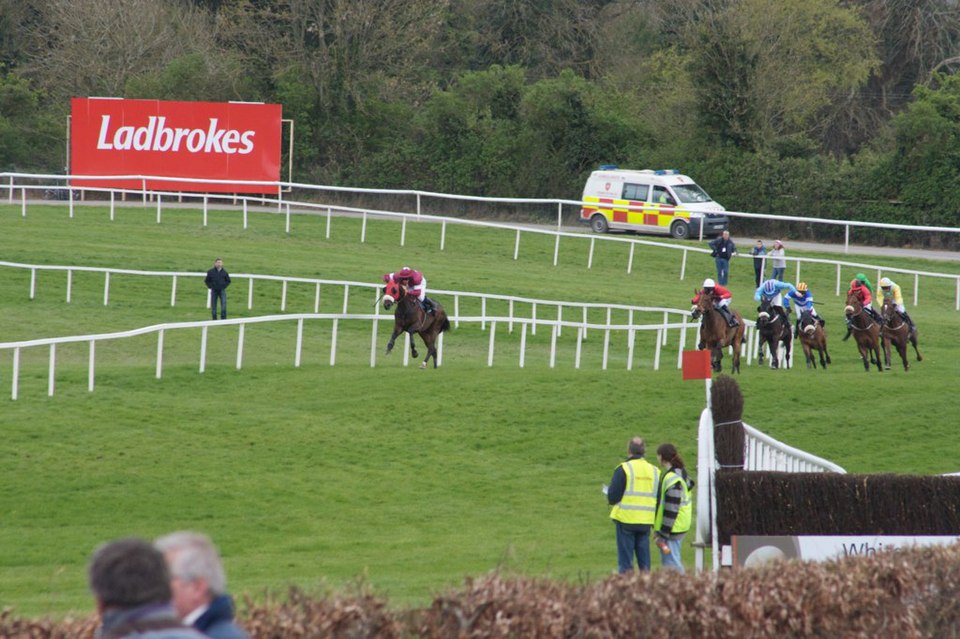 Horses and riders at Punchestown races.