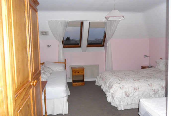 A family guest room at Avondale B&B with a double bed, extra beds, a wooden wardrobe and skylight windows.