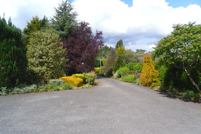 The private driveway and car park at Avondale B&B, lined with trees and shrubs.