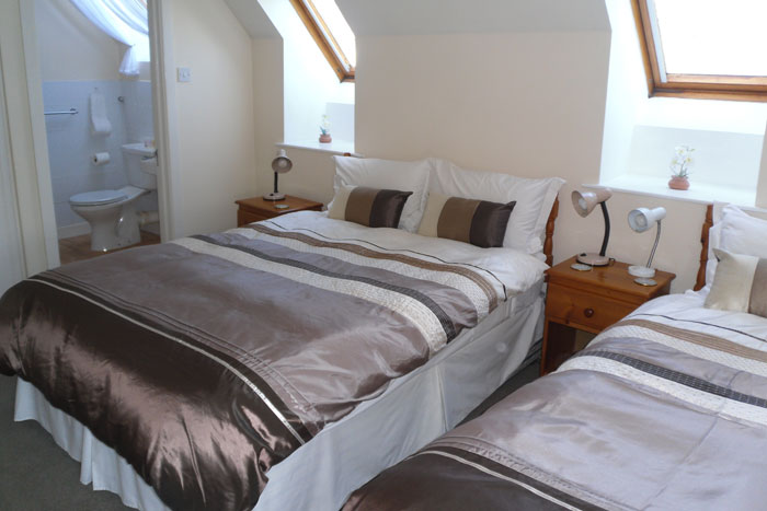 A bright ensuite bedroom at Avondale B&B with a double bed and a single bed, striped bedding and skylights.