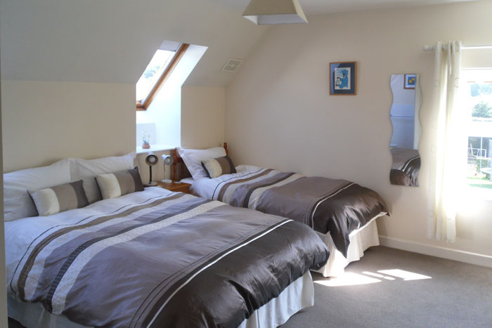 A guest bedroom at Avondale B&B with twin beds, striped bedding, a skylight and a window.